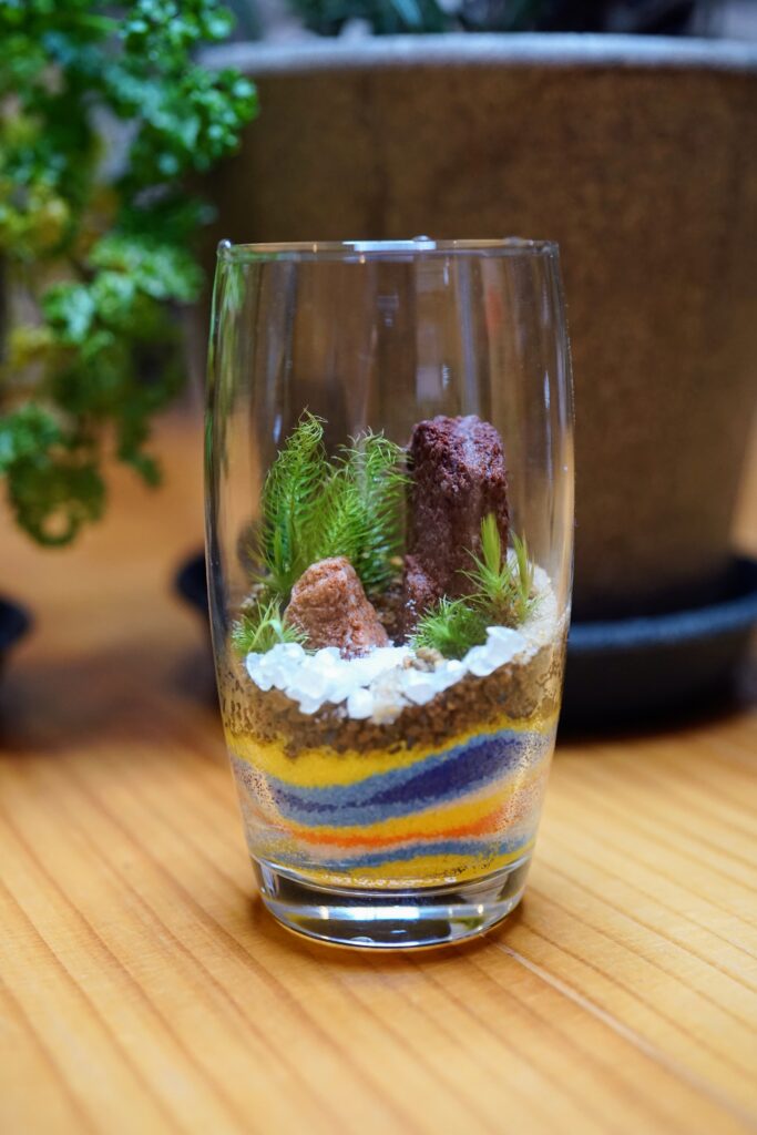 苔と植物の家Ryokuの作品