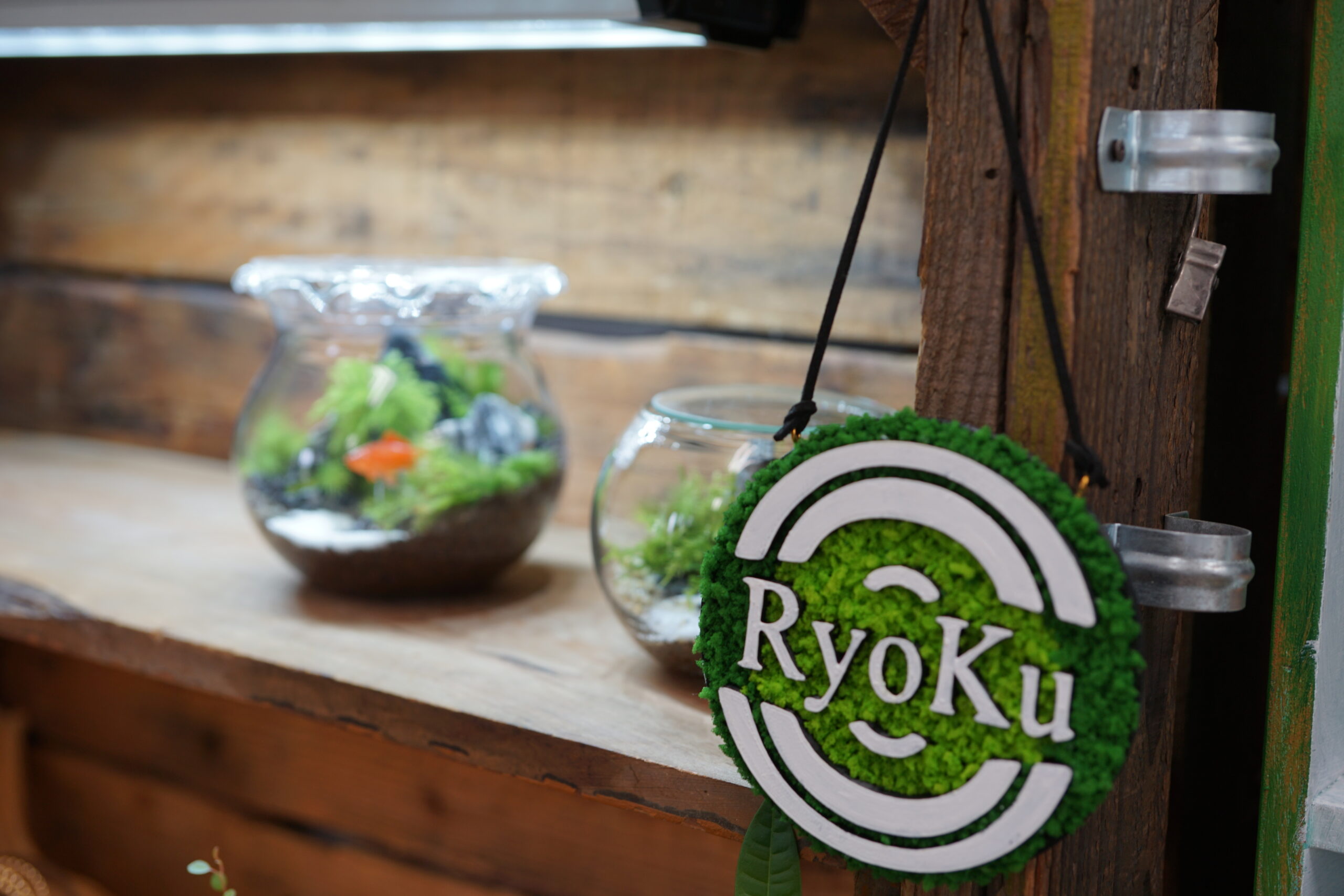 苔と植物の家Ryokuの店内風景